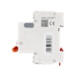 CHINT NXB-63G Miniature Circuit Breaker