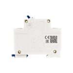CHINT NXB-125G Moulded Case Circuit Breaker