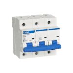 CHINT NXB-125G Moulded Case Circuit Breaker